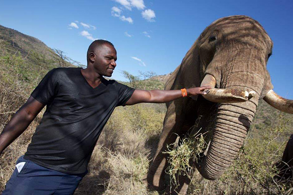 Yego_Elefante_CsiModena_BarSport