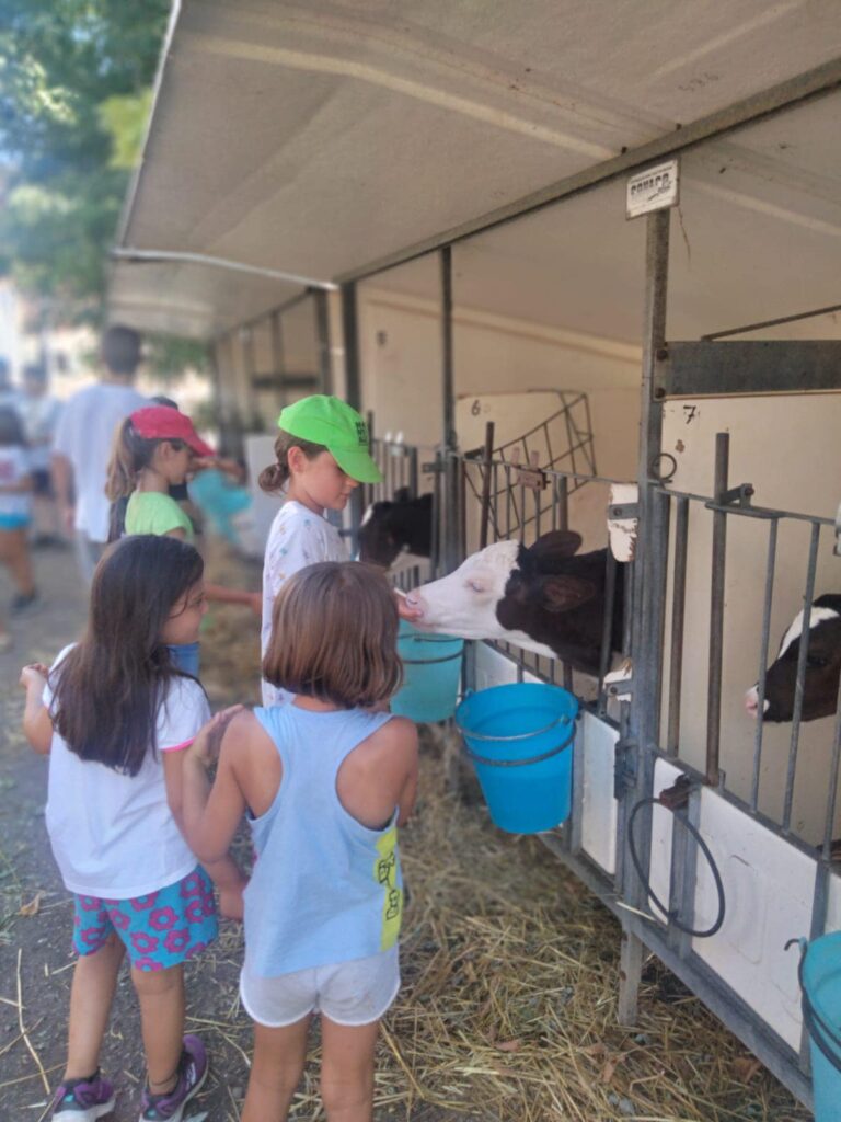 Happy Camp Castelnuovo Rangone